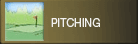 Pitching & Chipping